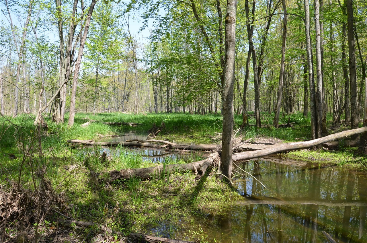 2255 River Road Hastings, MI 49058 - Photo 67 of 94