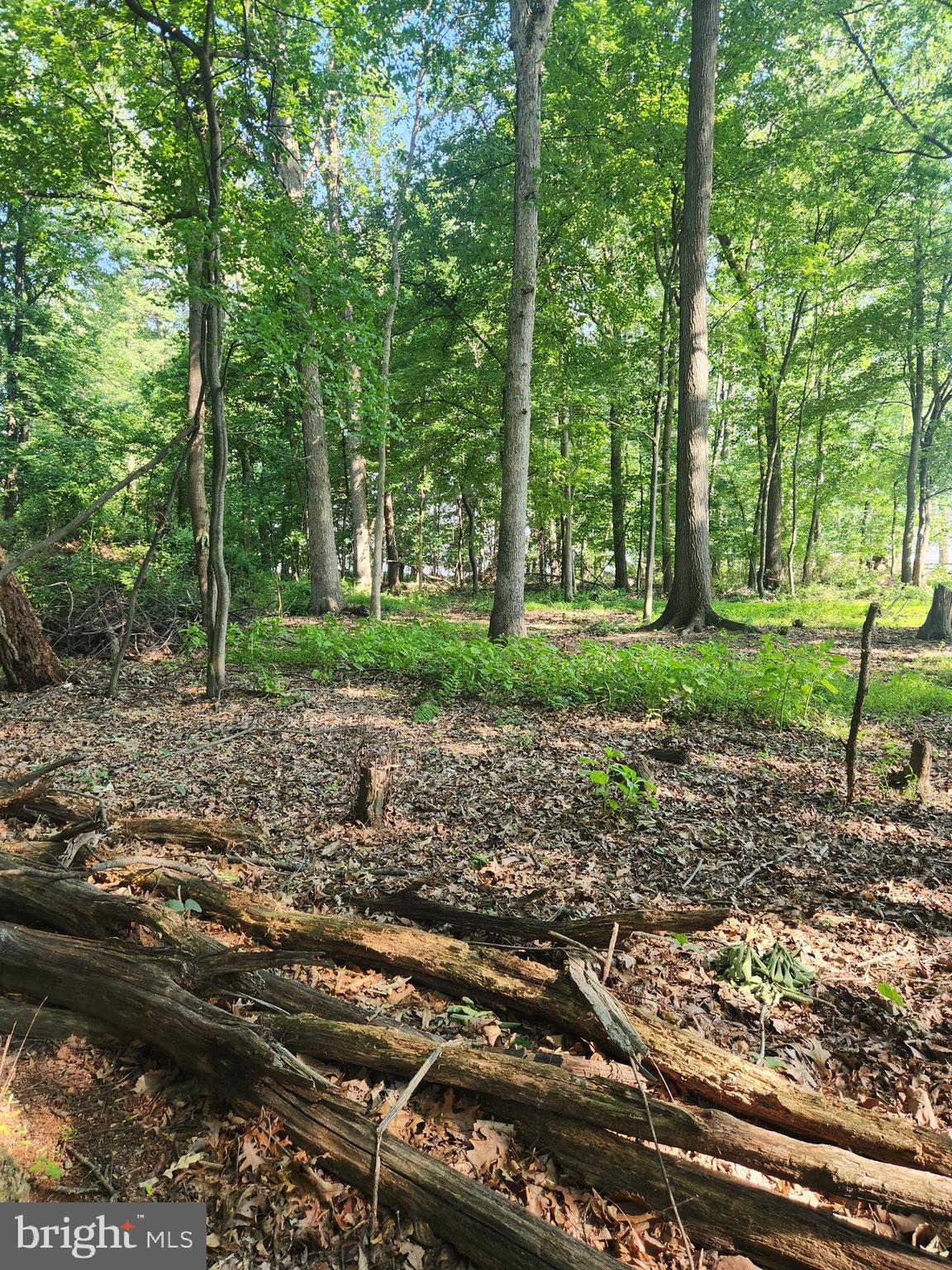 3977 Street Road Street, MD 21154 - Photo 4 of 8 Gallery Image 4