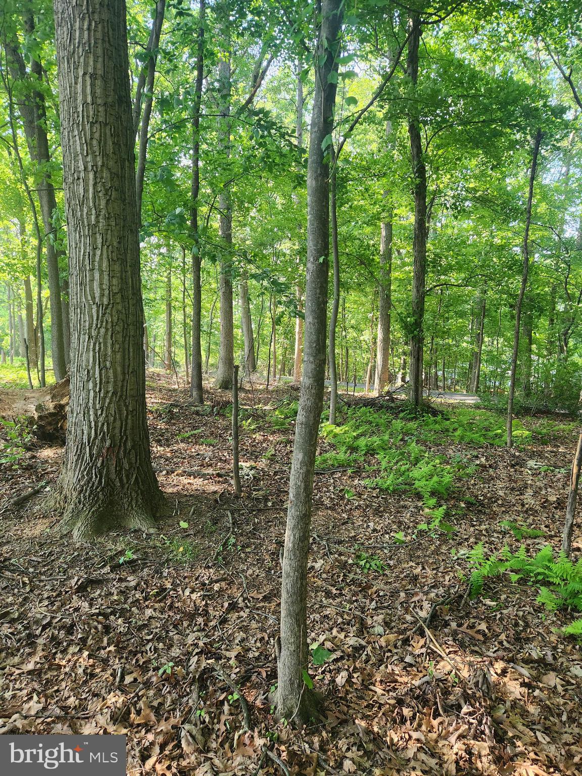3977 Street Road Street, MD 21154 - Photo 5 of 8 Gallery Image 5