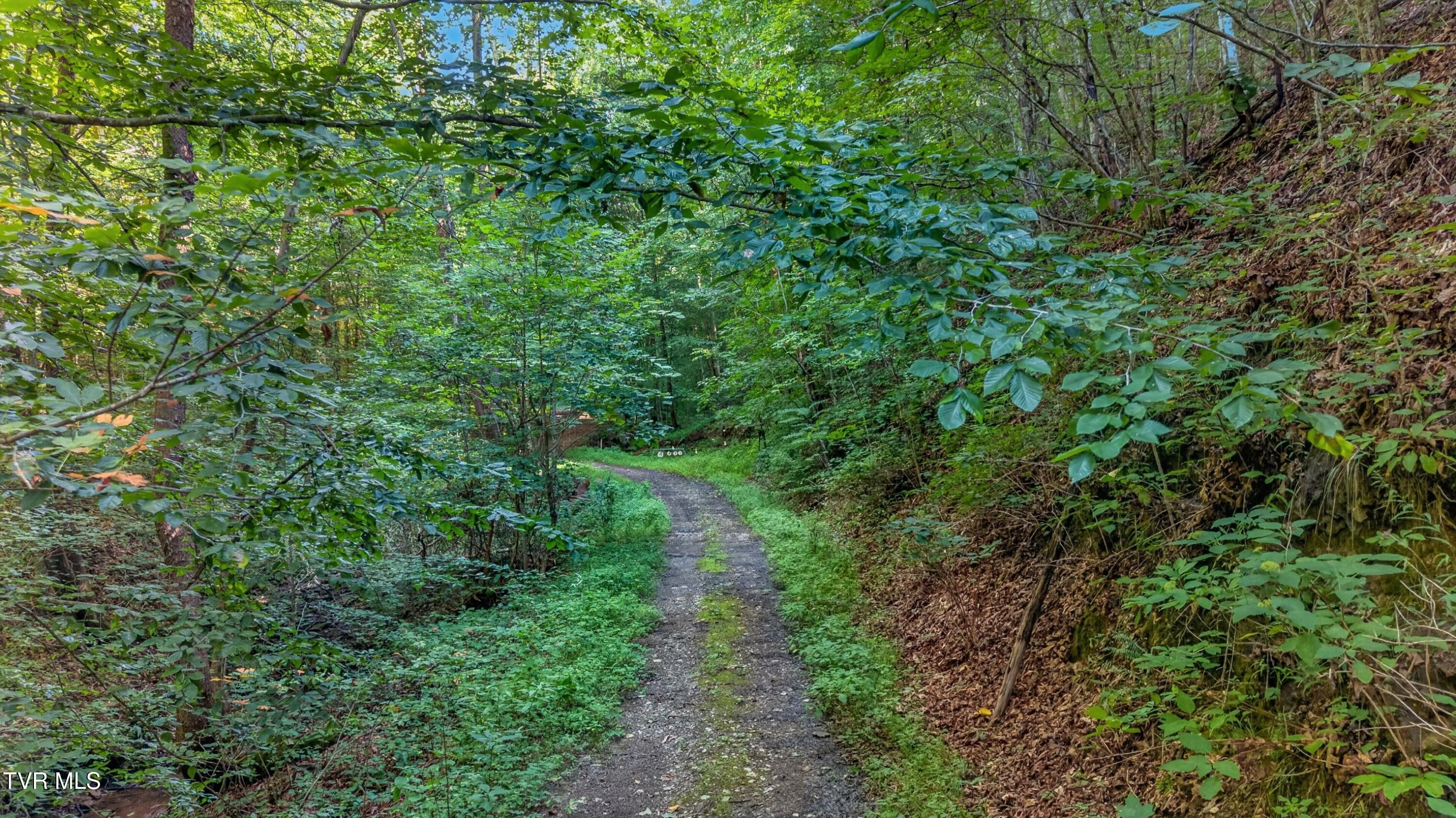 7020 Caney Valley Road Tazewell, TN 37879 - Photo 55 of 61 054-7020CaneyValleyRoad-Tazewell-TN-3787