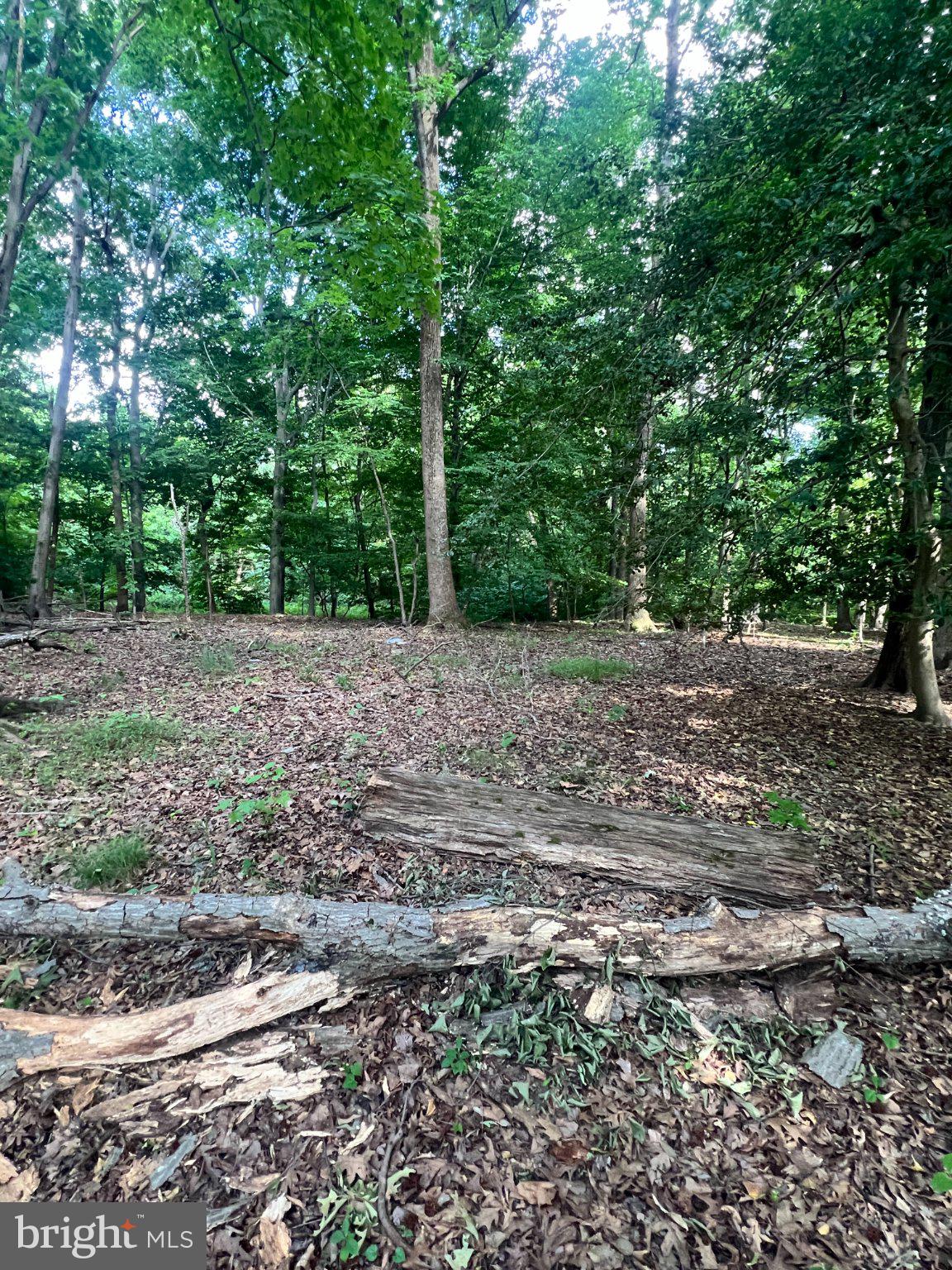 12955 Old Fort Road Fort Washington, MD 20744 - Photo 3 of 11 Serene woodland retreat awaits exploration.