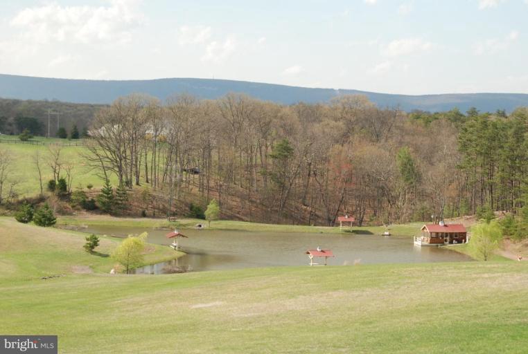 1900 Laurel Grove Road Winchester, VA 22602 - Photo 4 of 30 Fishing Pond