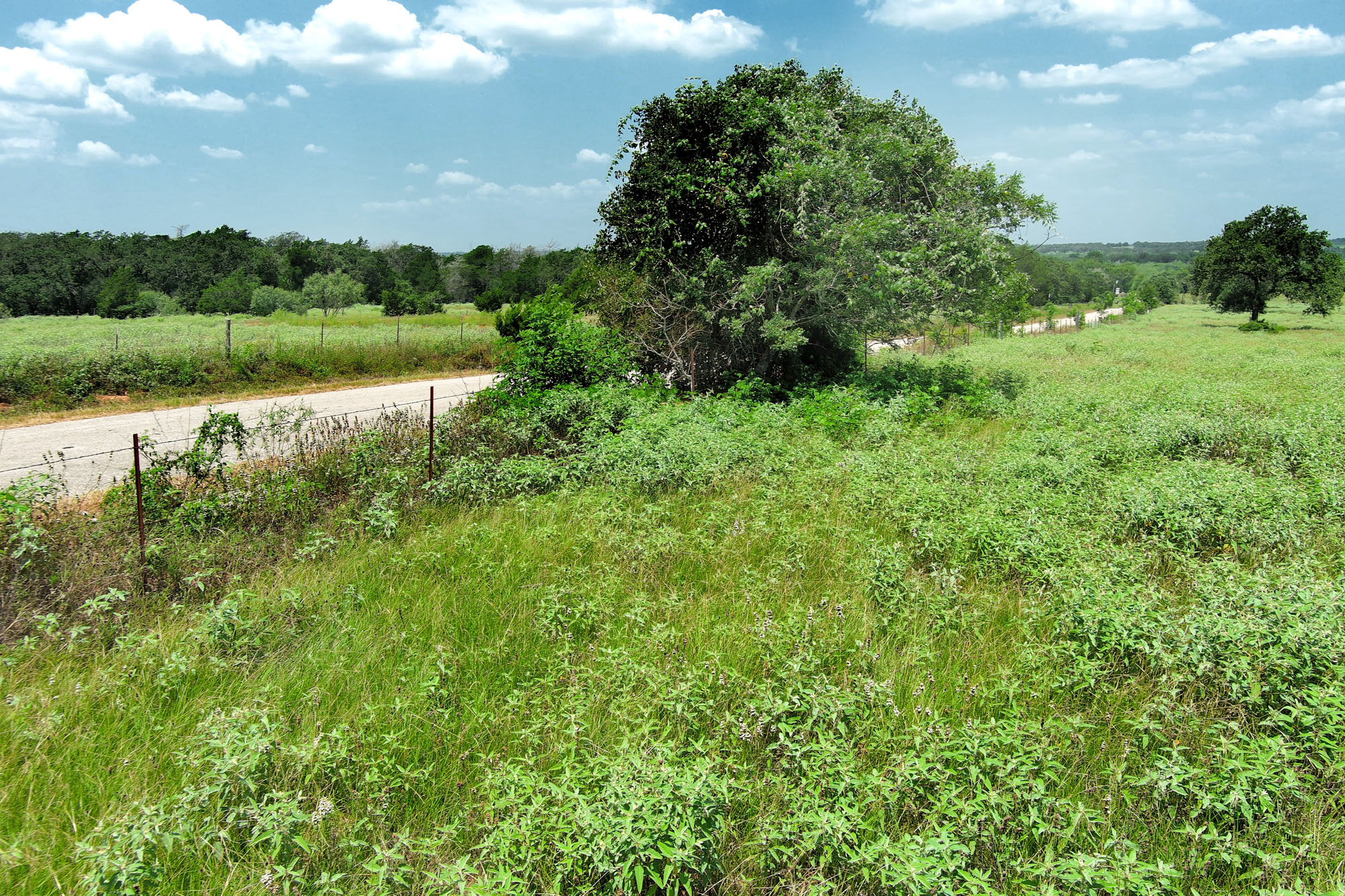 Tbd Hofferek Road Rosanky, TX 78953 - Photo 27 of 32 Vast green fields stretch under a clear sky, offering a serene, private landscape.