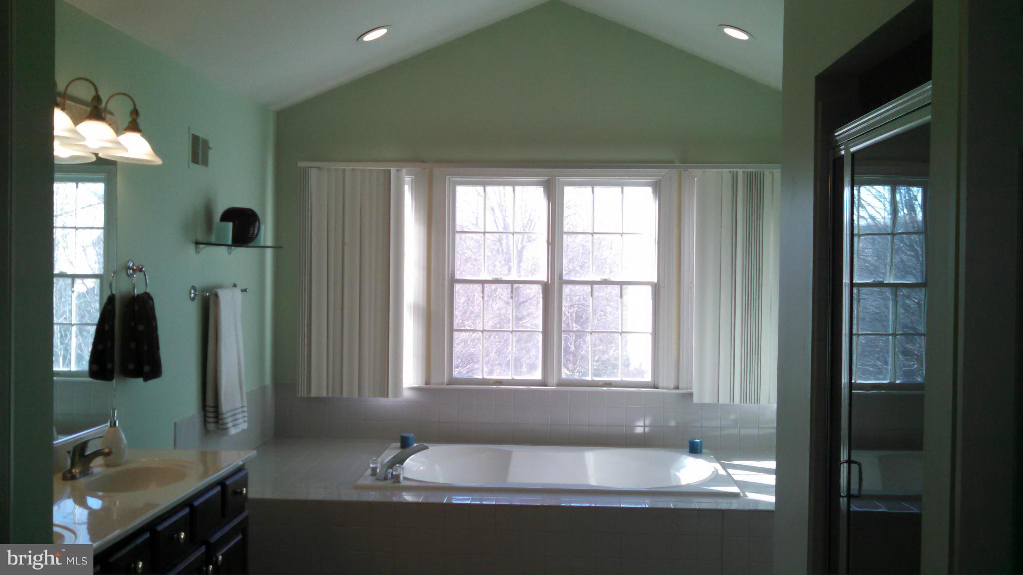 6433 Empty Song Road Columbia, MD 21044 - Photo 21 of 30 Bath (Master)