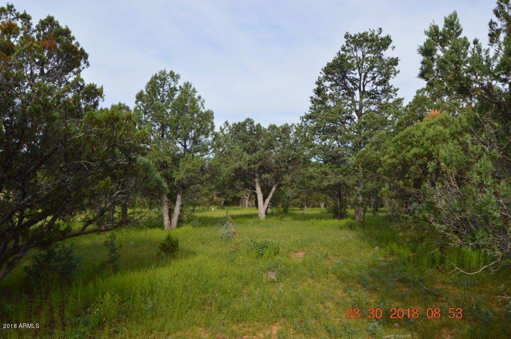 2874 4 Point Circle, Unit 411 Overgaard, AZ 85933 - Photo 1 of 7 DSC_0003