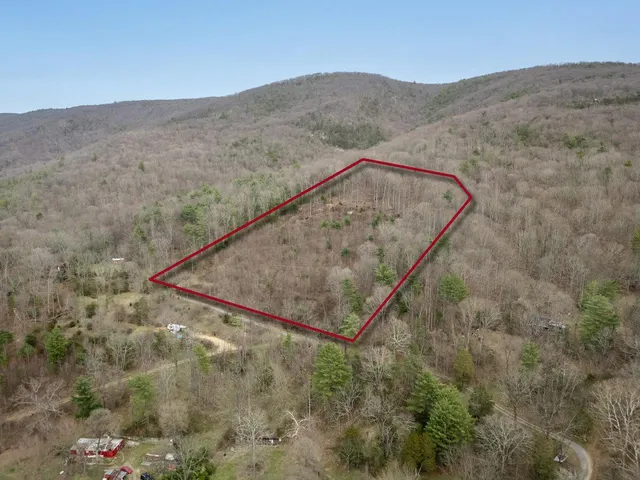 a view of a dry yard