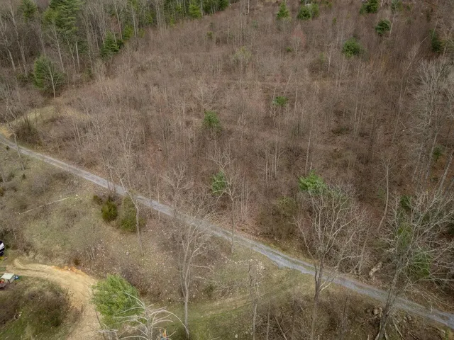 a view of a dry yard