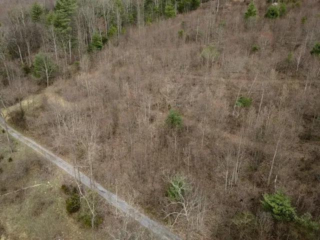 a view of lake with mountain