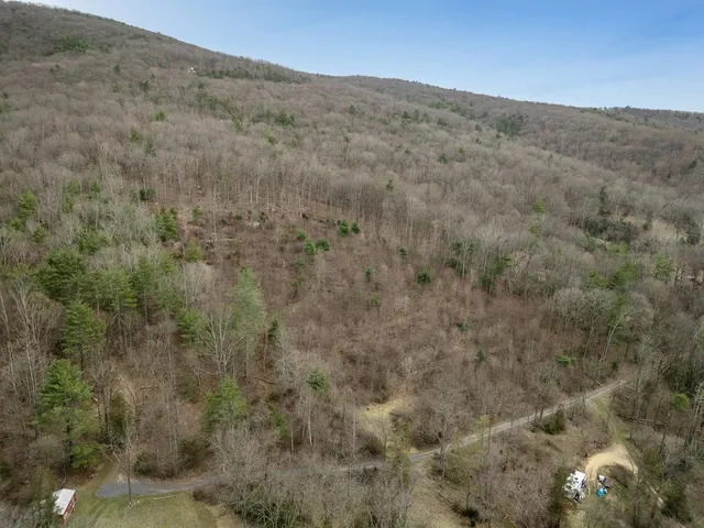 a view of a forest filled with trees