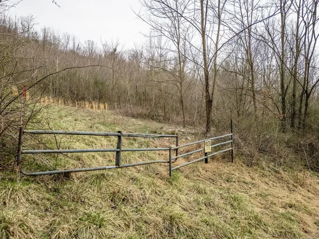 a view of a dry yard