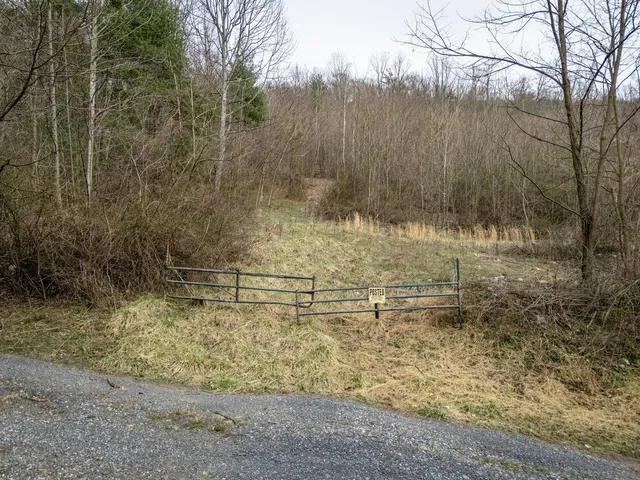 a close up of a plants