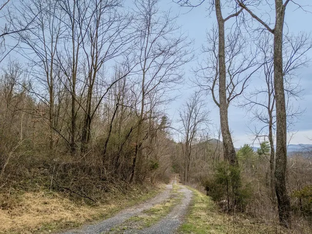 a view of a dry yard with trees in the background