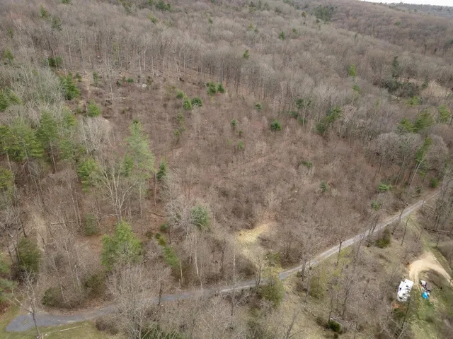 a view of a yard with trees