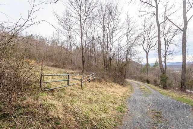 a view of backyard with wooden fence