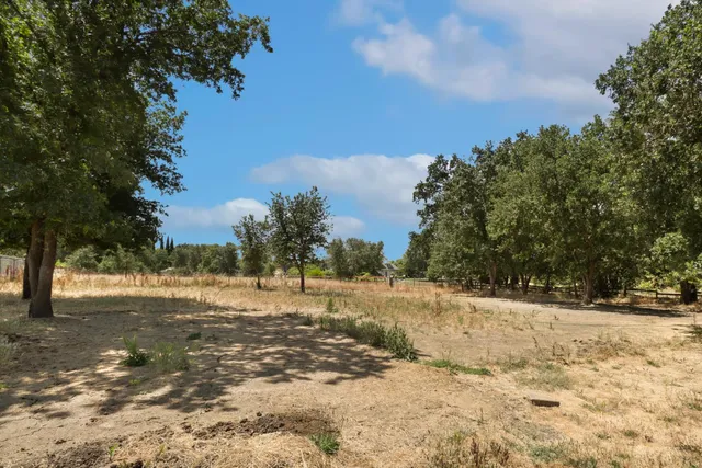 a view of dirt yard with a large tree