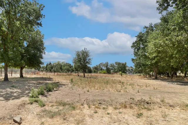a view of dirt field and trees around