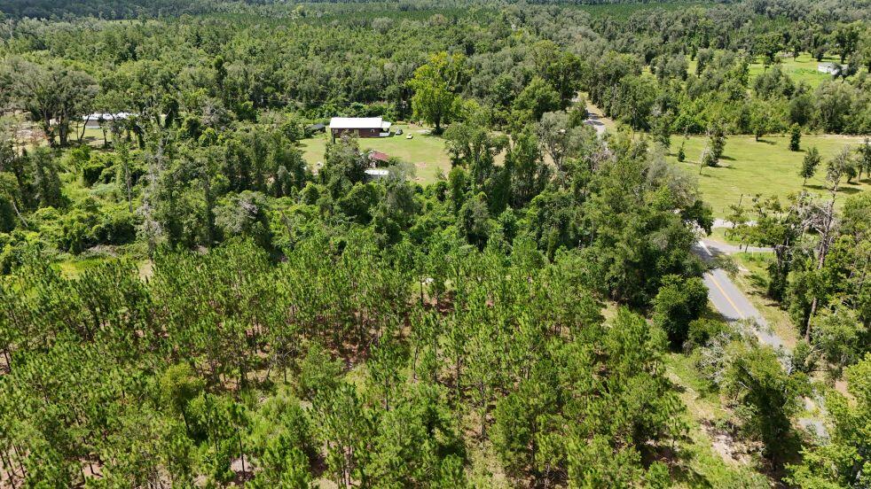0 185th Road Live Oak, FL 32060 - Photo 13 of 22 14