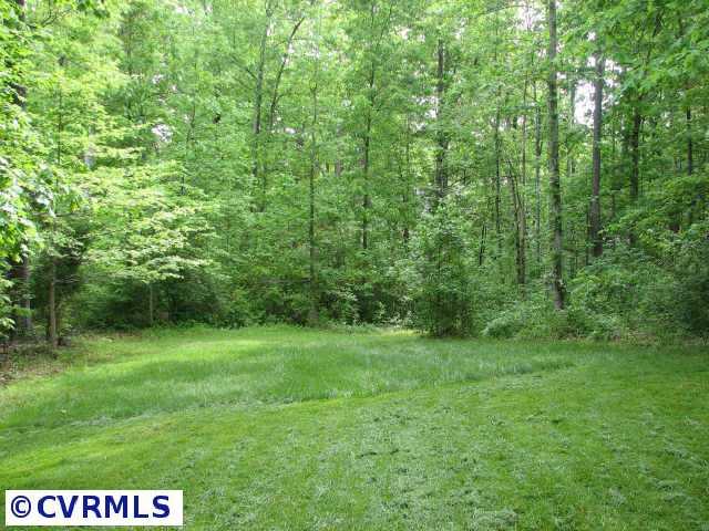 1001 Kingscross Road Midlothian, VA 23114 - Photo 10 of 10 Other - Beautiful view of the yard, very peaceful and private.