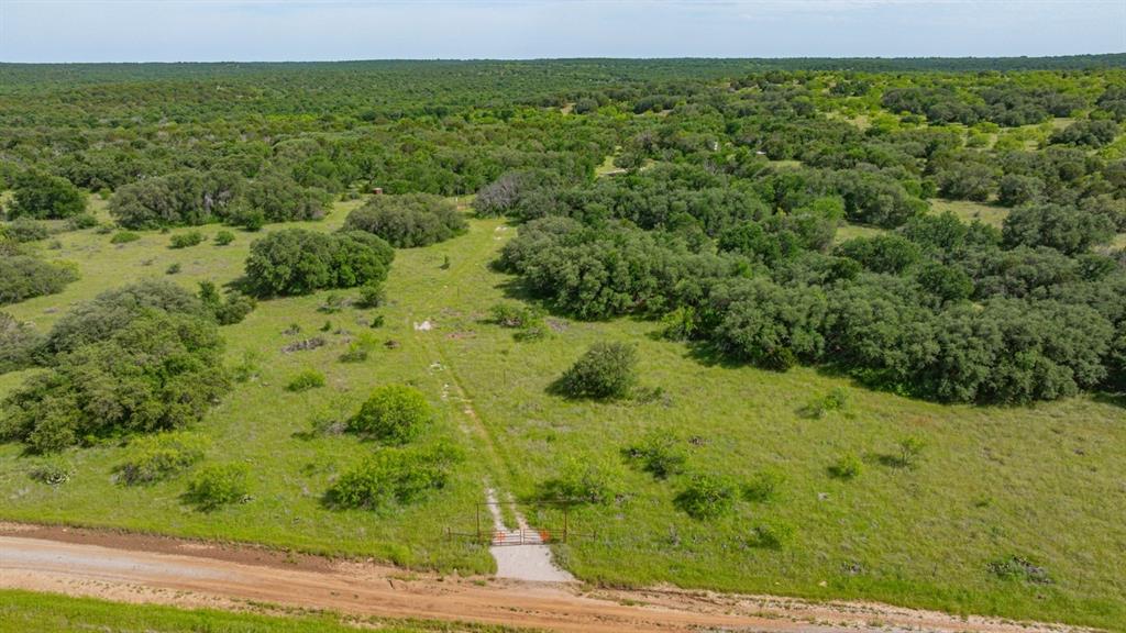 136 Moose Trail Ranger, TX 76470 - Photo 26 of 40 a view of a lush green forest with a house