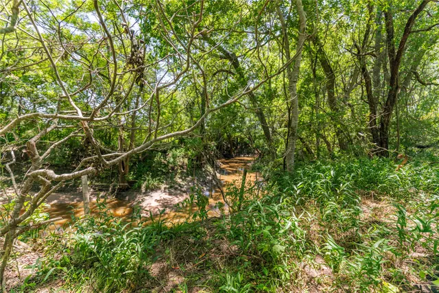 $907,800 | Lot 8 Mill Creek Ranch Road, Bellville, TX 77418