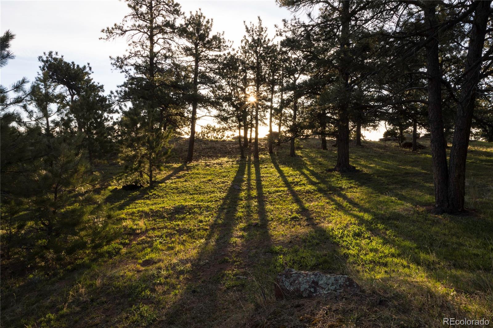 4 North Sumner Road Arvada, CO 80403 - Photo 9 of 12 a view of park with trees