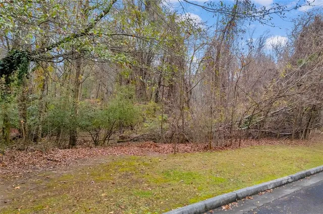 a view of a lush green forest with lots of trees