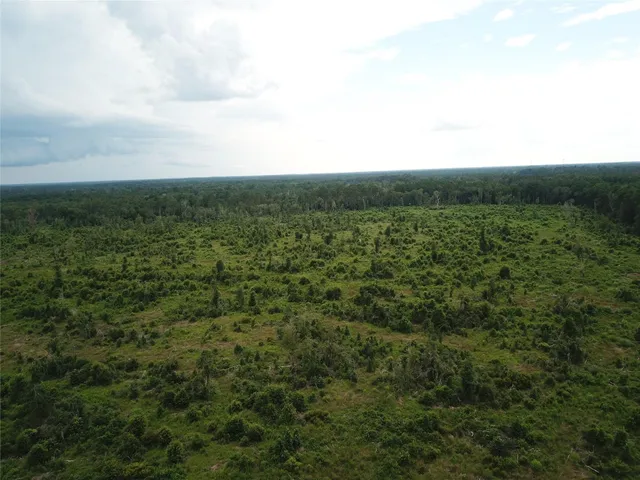 a view of a green field with lots of trees