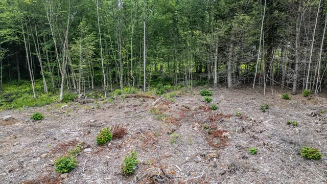 $99,000 | Lot15-22b1 Taras Way, Bethel, ME 04217