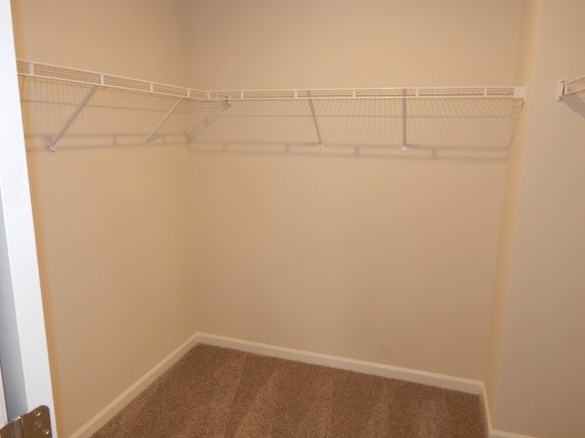 247 Wimbledon Way Seneca, SC 29678 - Photo 24 of 29