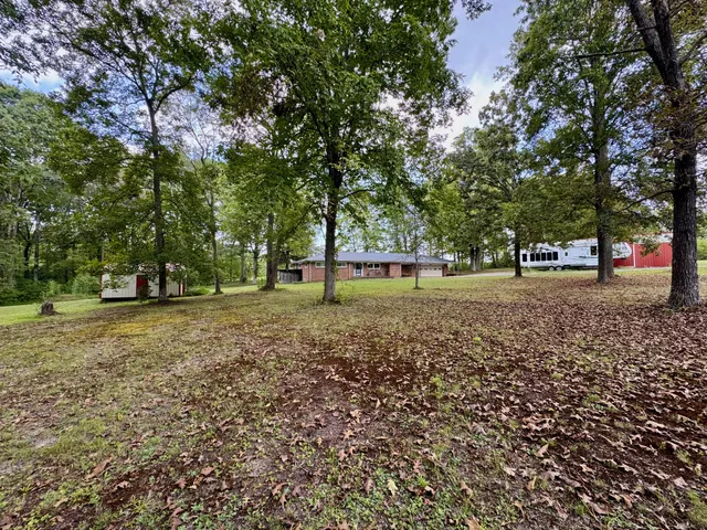 a view of a tree in a park