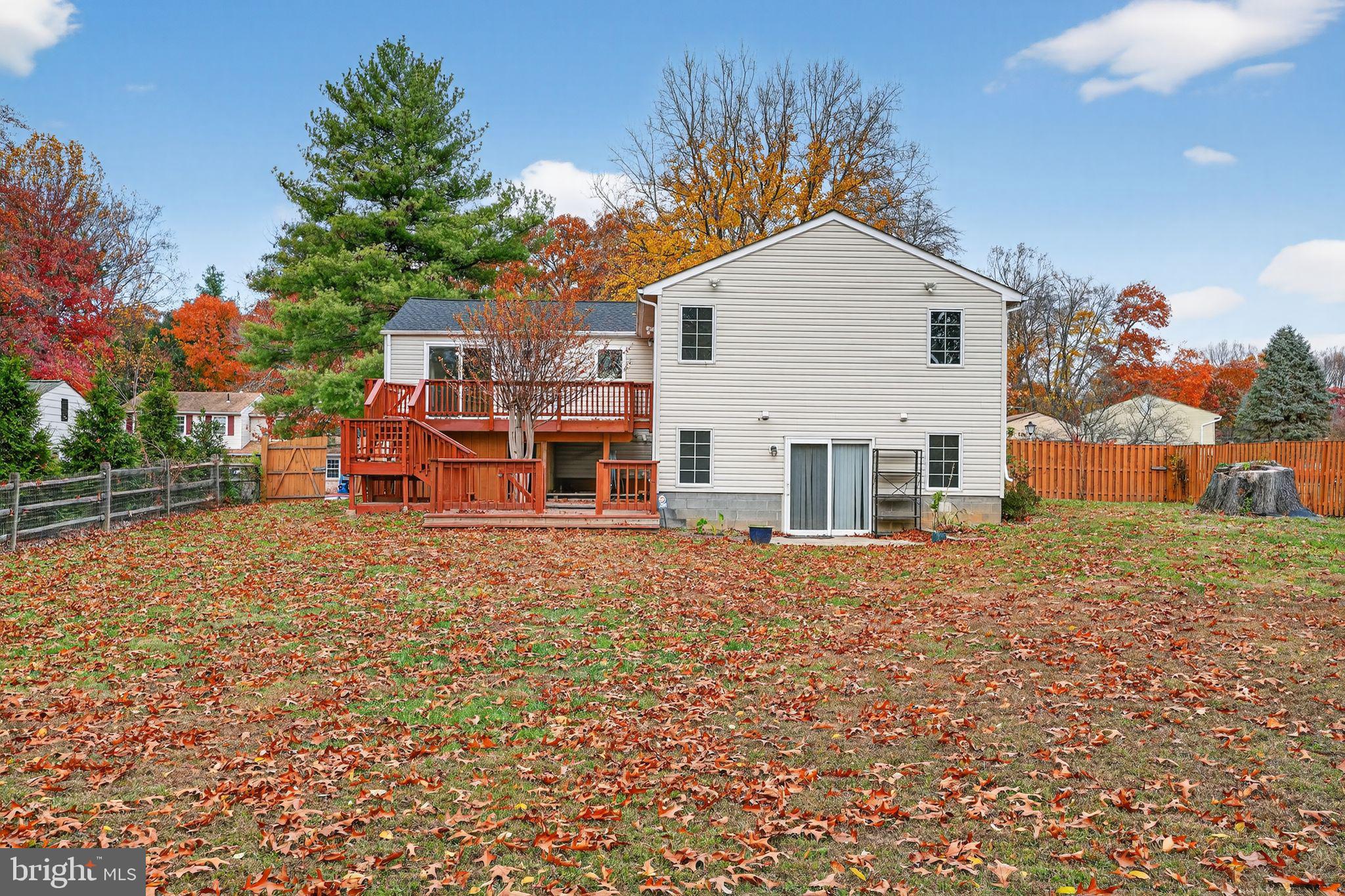 1513 Rainbow Drive Silver Spring, MD 20905 - Photo 50 of 58 a view of a house with backyard and trees