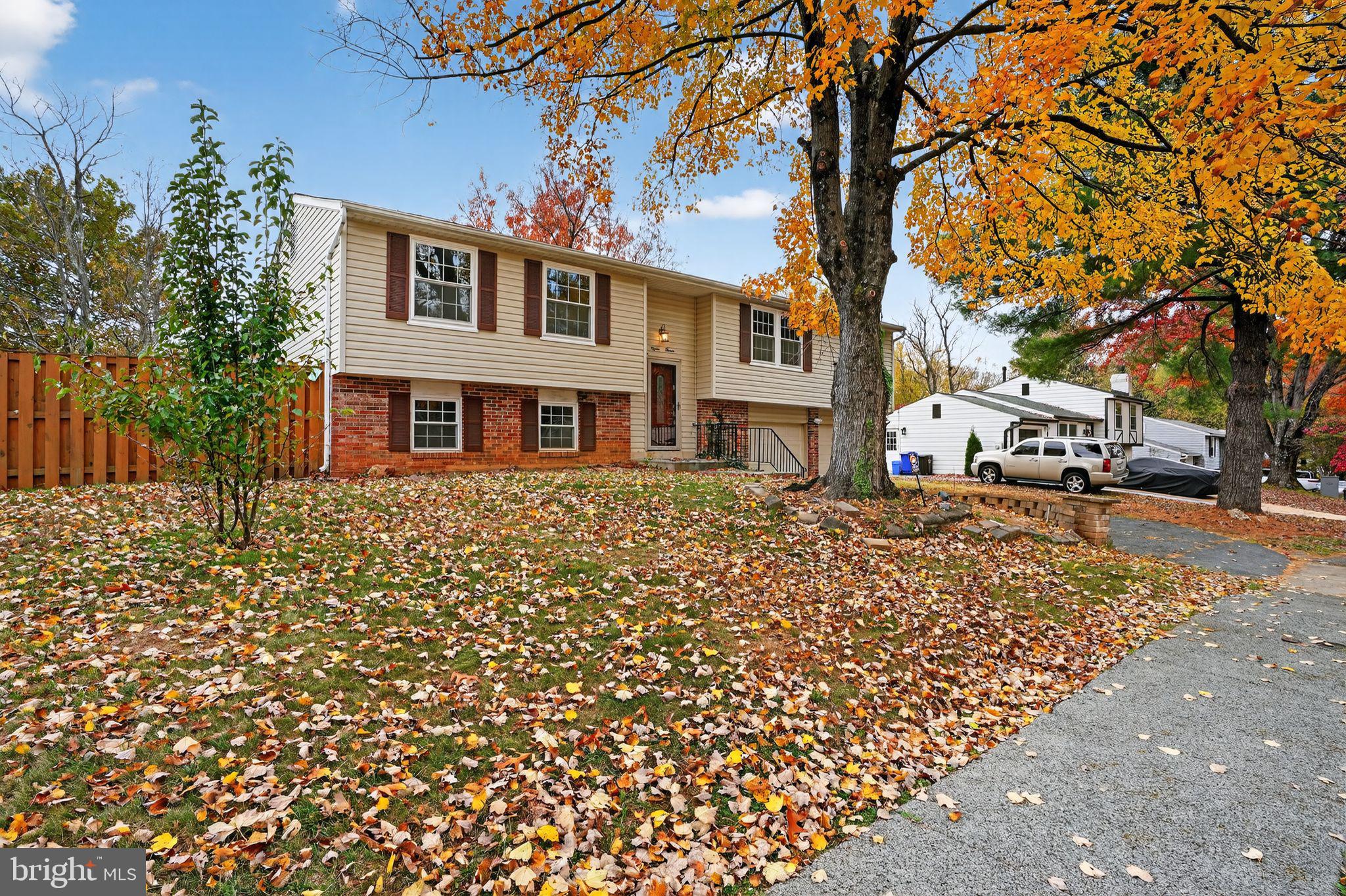 1513 Rainbow Drive Silver Spring, MD 20905 - Photo 51 of 58 front view of a building with a tree