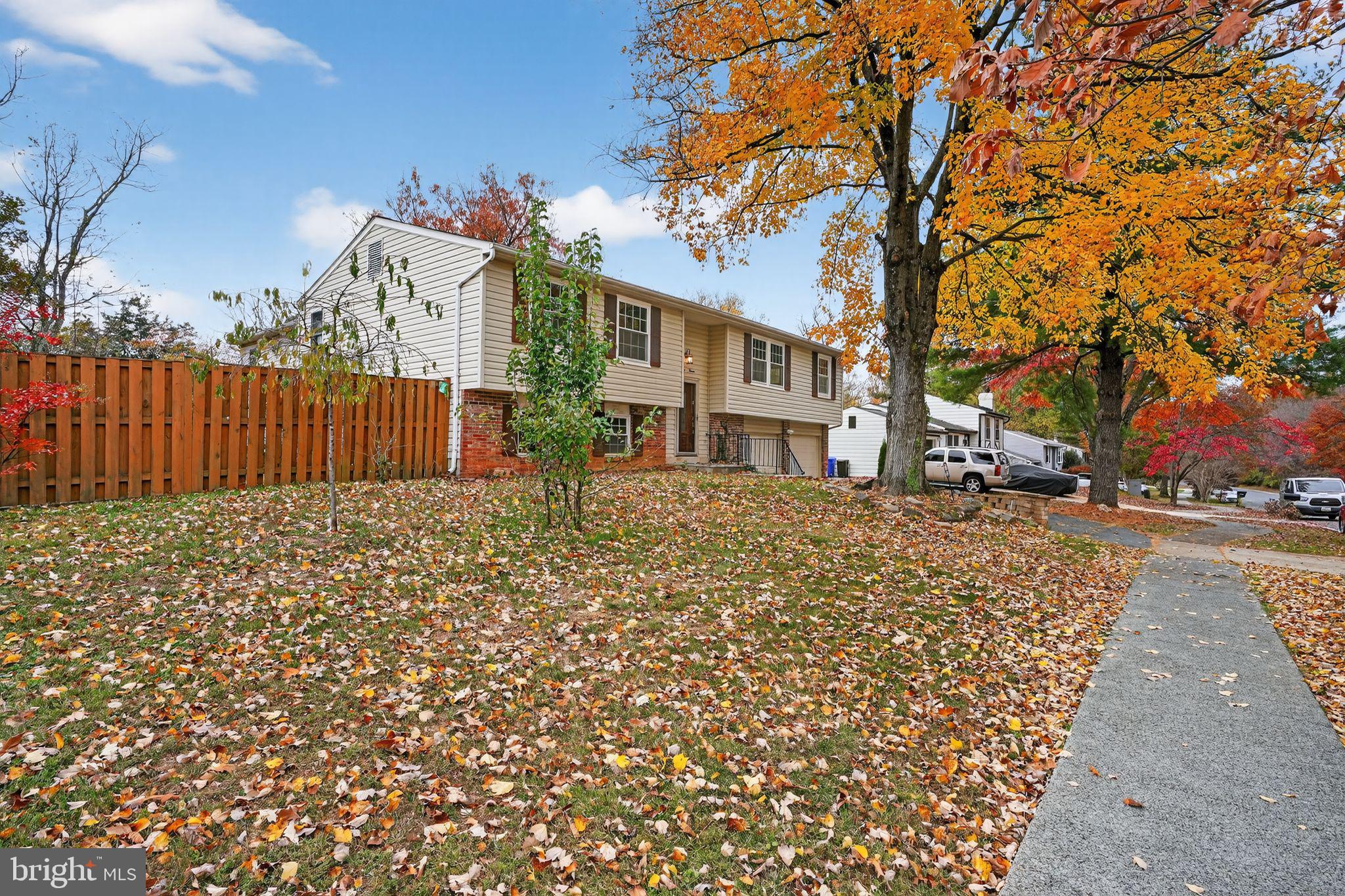 1513 Rainbow Drive Silver Spring, MD 20905 - Photo 52 of 58 a street view with large trees