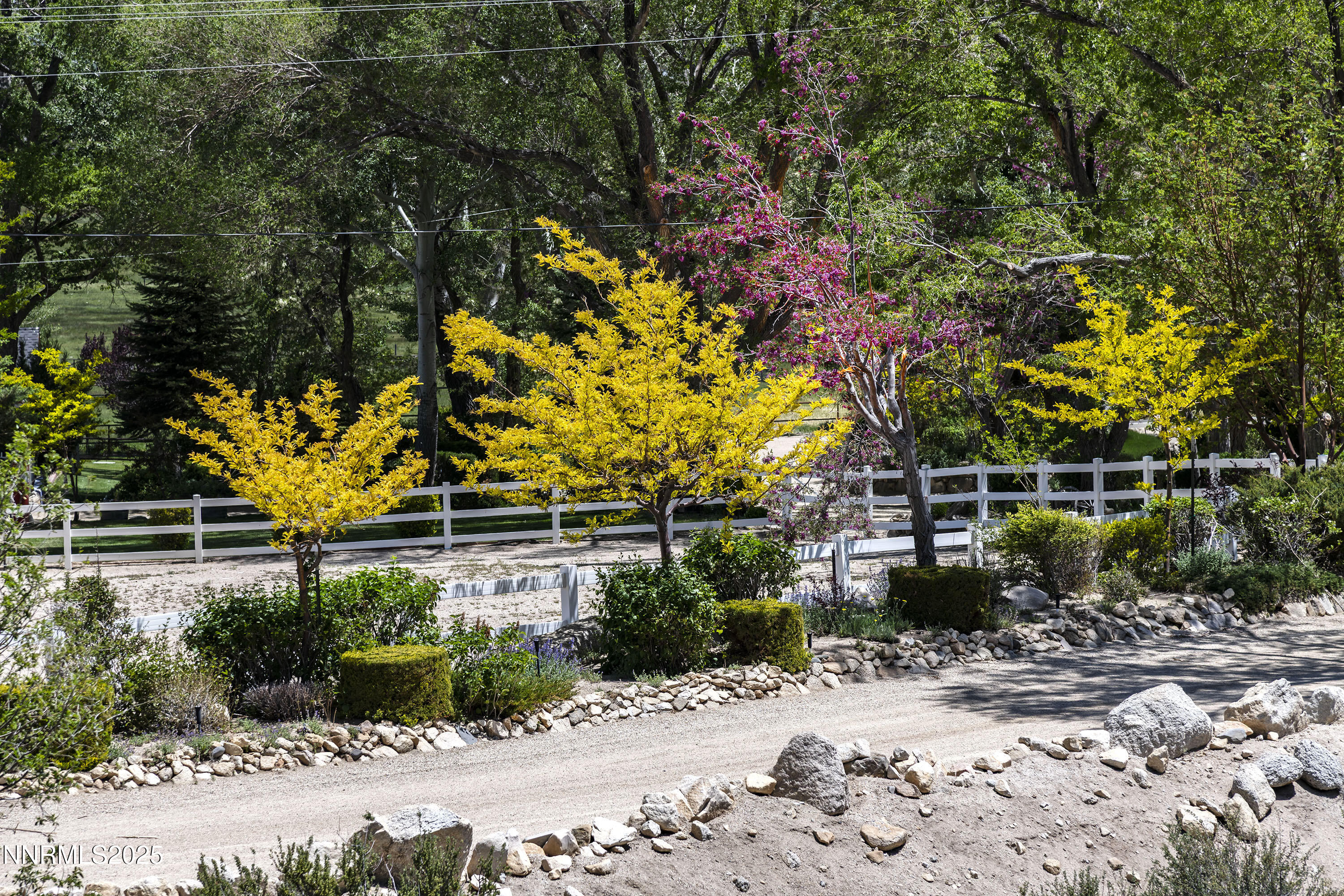 775 Foothill Road Gardnerville, NV 89460 - Photo 24 of 90 a front view of a house with a yard and a tree