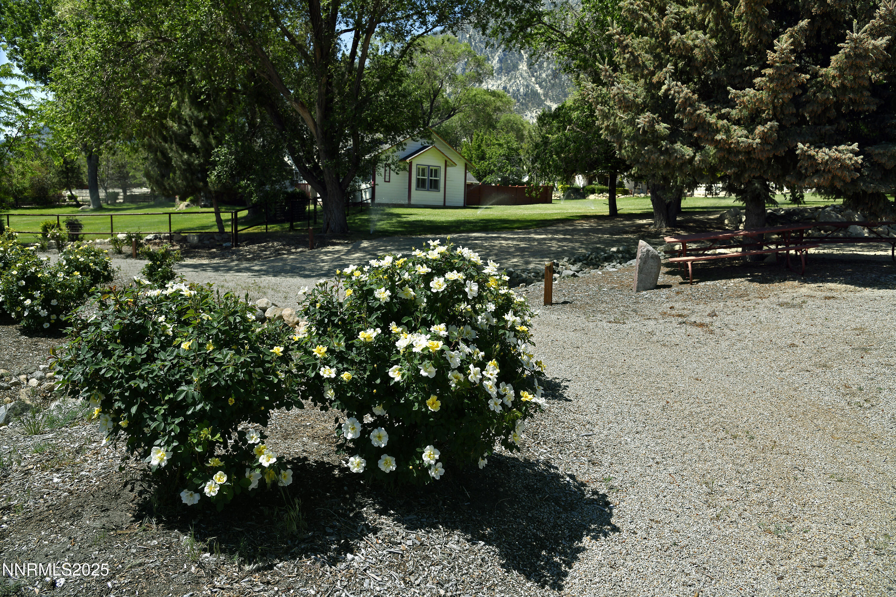 775 Foothill Road Gardnerville, NV 89460 - Photo 56 of 90 a view of a yard with plants and trees