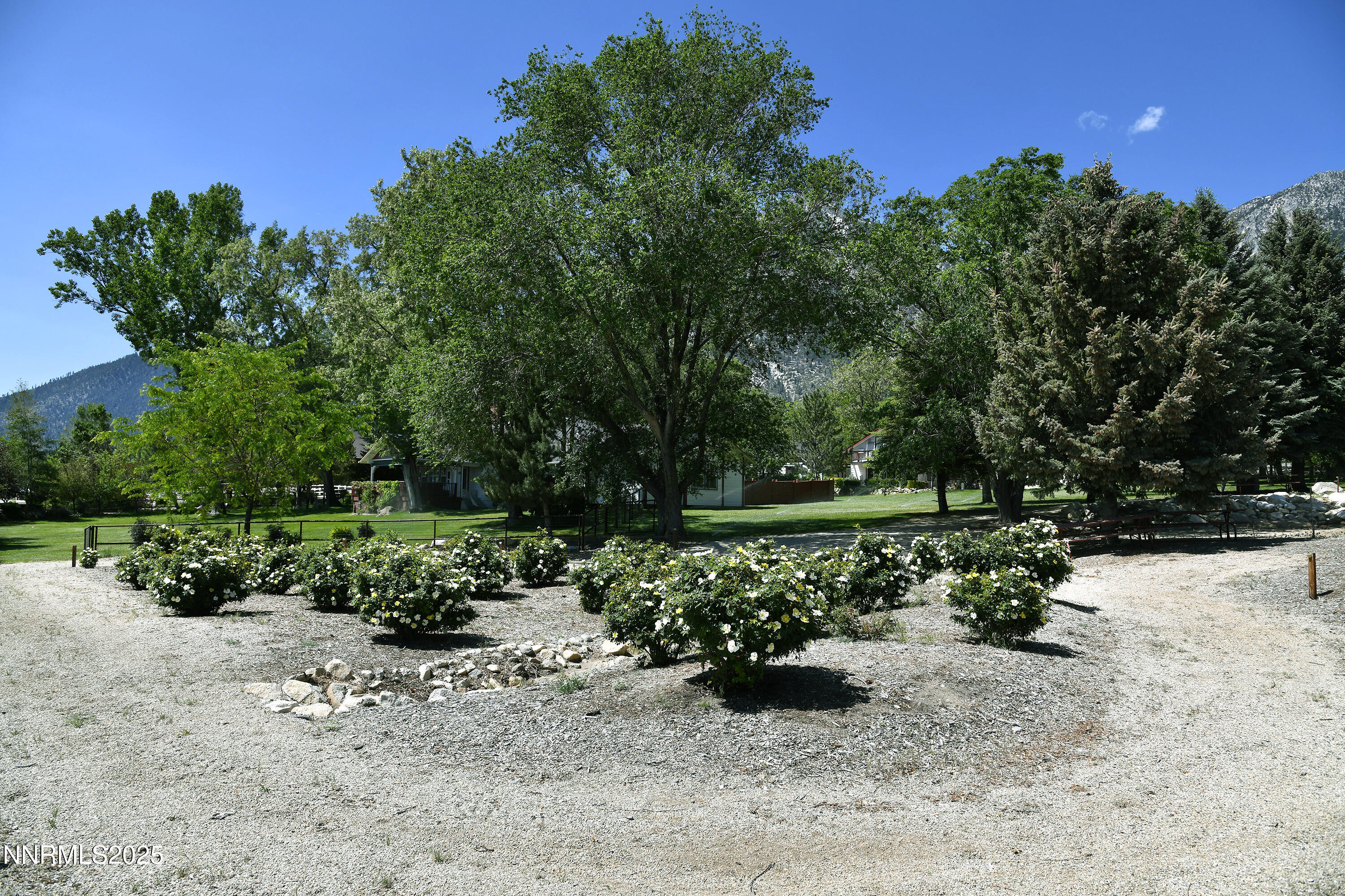 775 Foothill Road Gardnerville, NV 89460 - Photo 57 of 90 27 roses