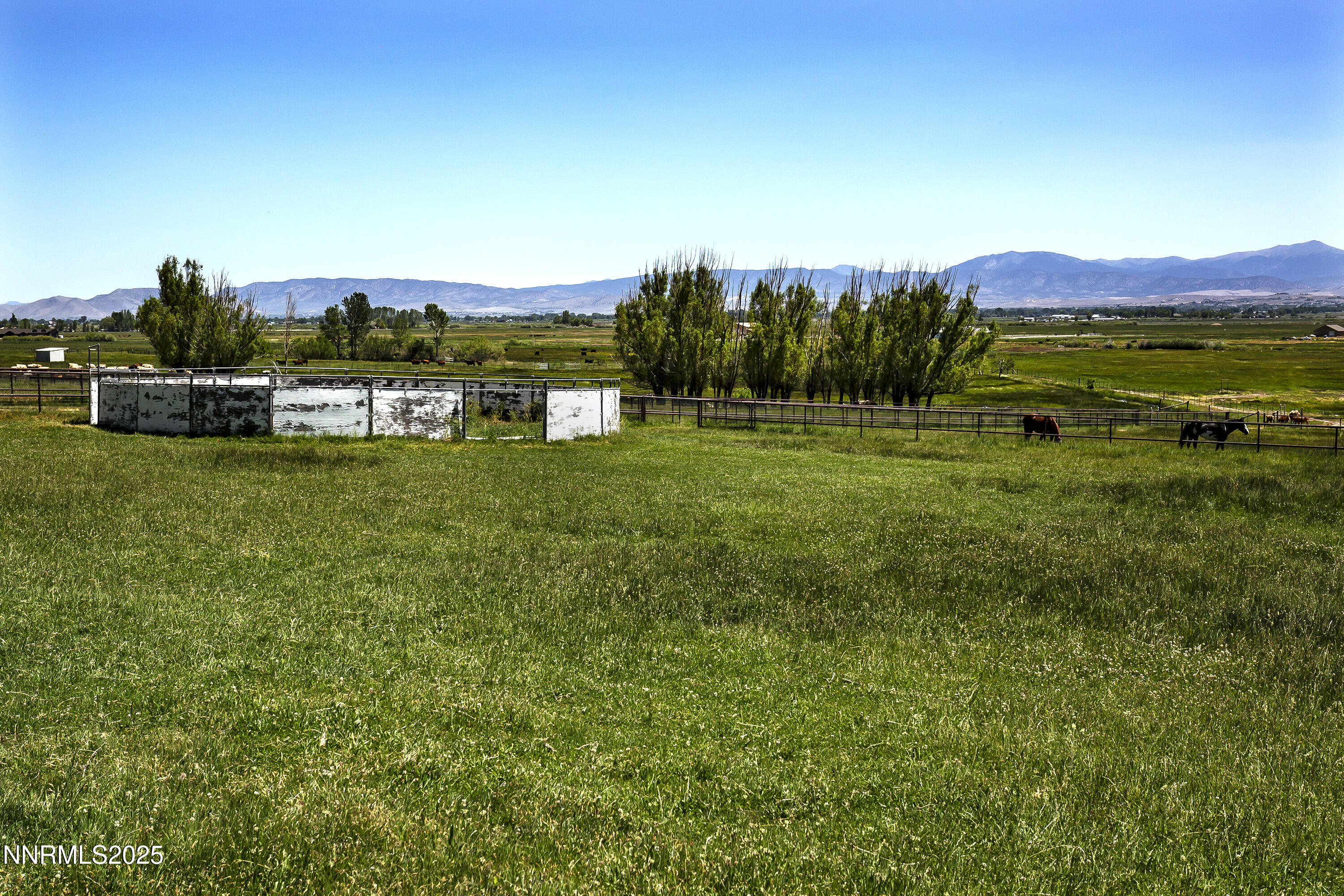 775 Foothill Road Gardnerville, NV 89460 - Photo 82 of 90 a view of a big yard with potted plants and large tree
