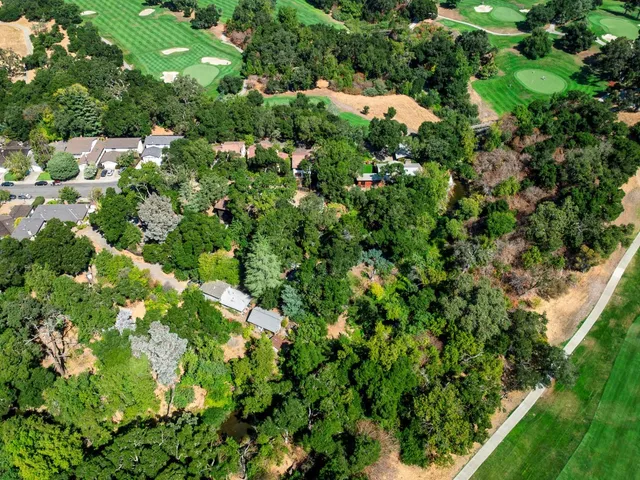 a view of a garden with a tree