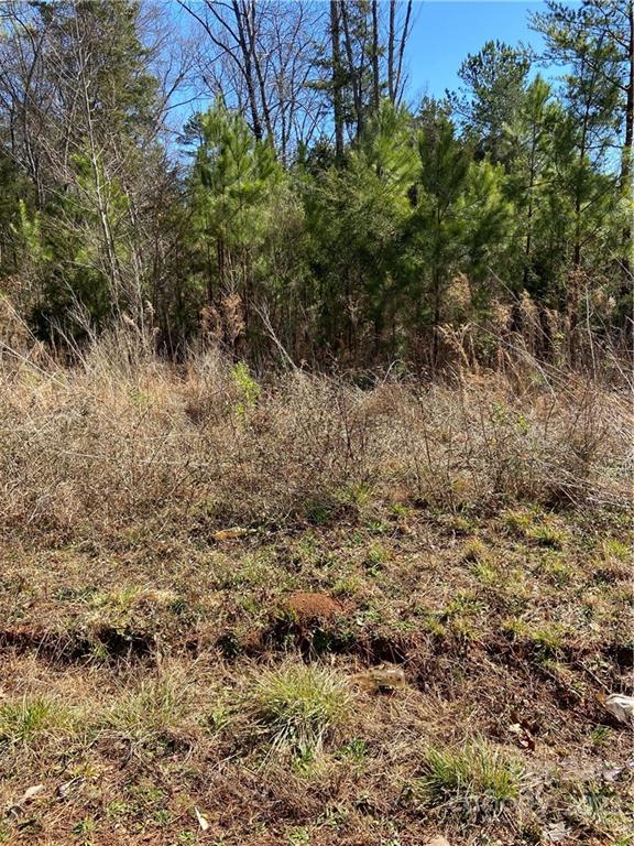 1 West North Corner Road Lancaster, SC 29720 - Photo 4 of 10 a view of a yard