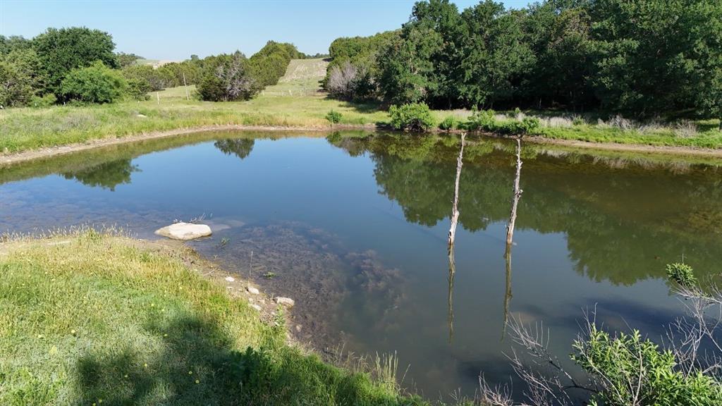 2801 Wind Point Court Tolar, TX 76476 - Photo 12 of 25 a view of a lake with a yard