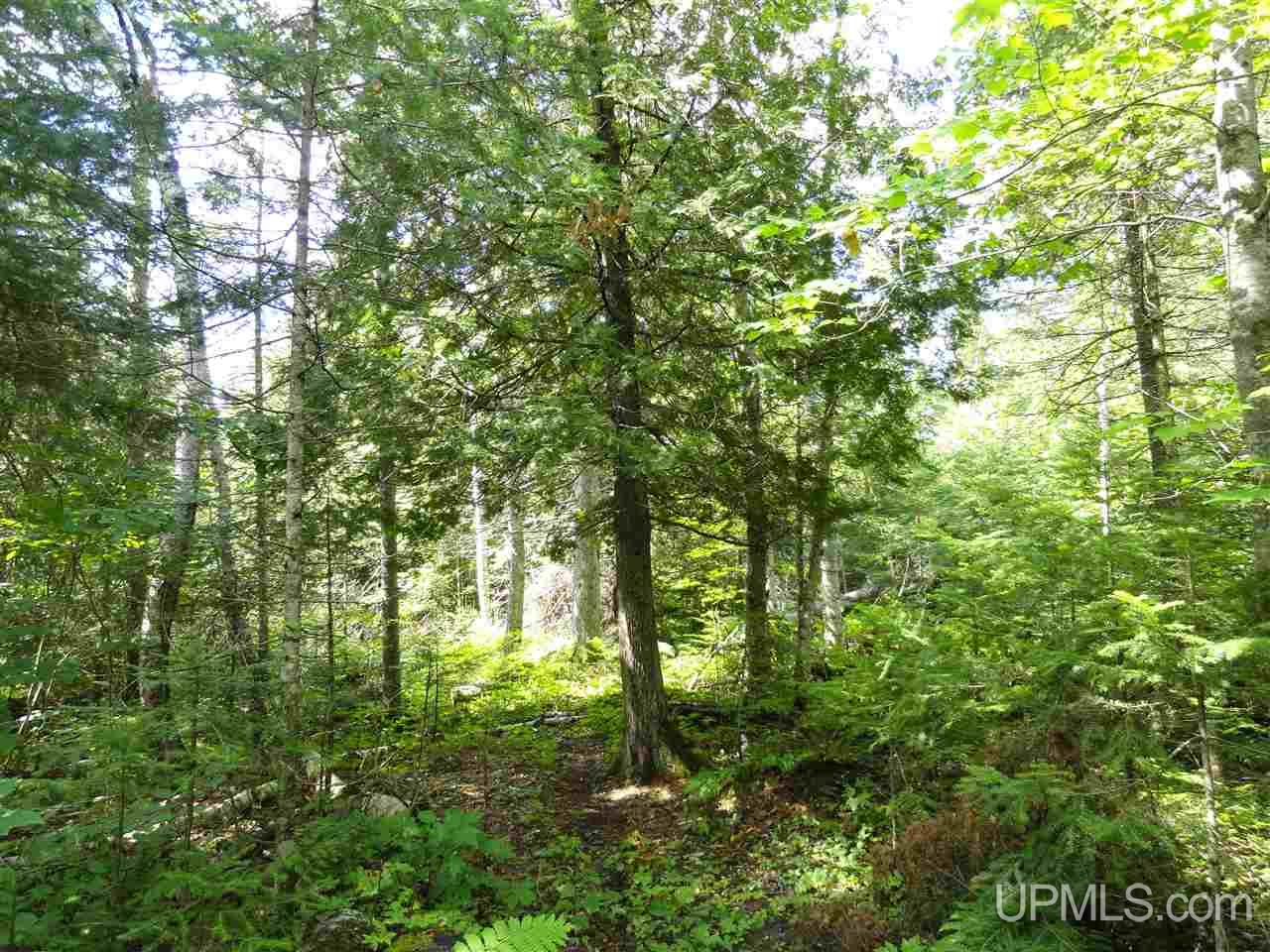 2 Rd Rock Mi 49880 Road Rock, MI 49880 - Photo 33 of 39