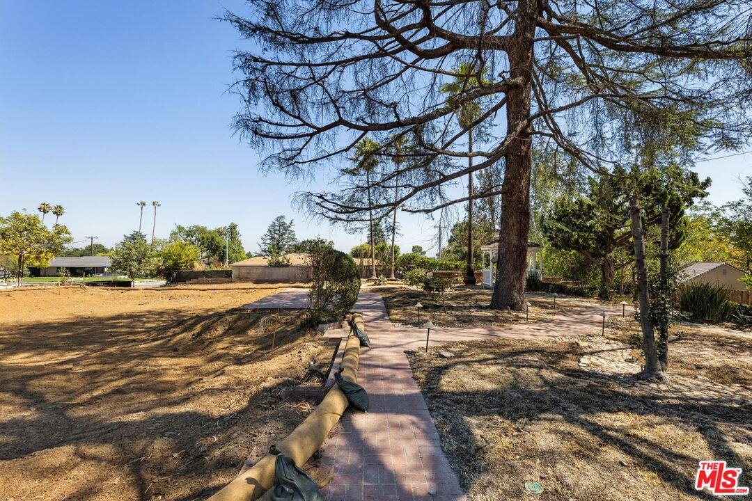 2261 Sinaloa Avenue Altadena, CA 91001 - Photo 7 of 20 a view of a yard with an trees
