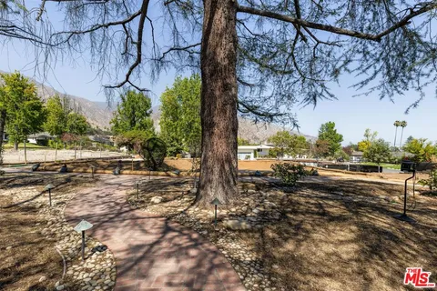 a view of a yard with wooden fence