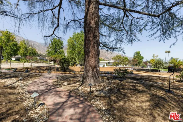 a view of a yard with wooden fence