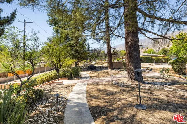 a view of a yard with plants and trees