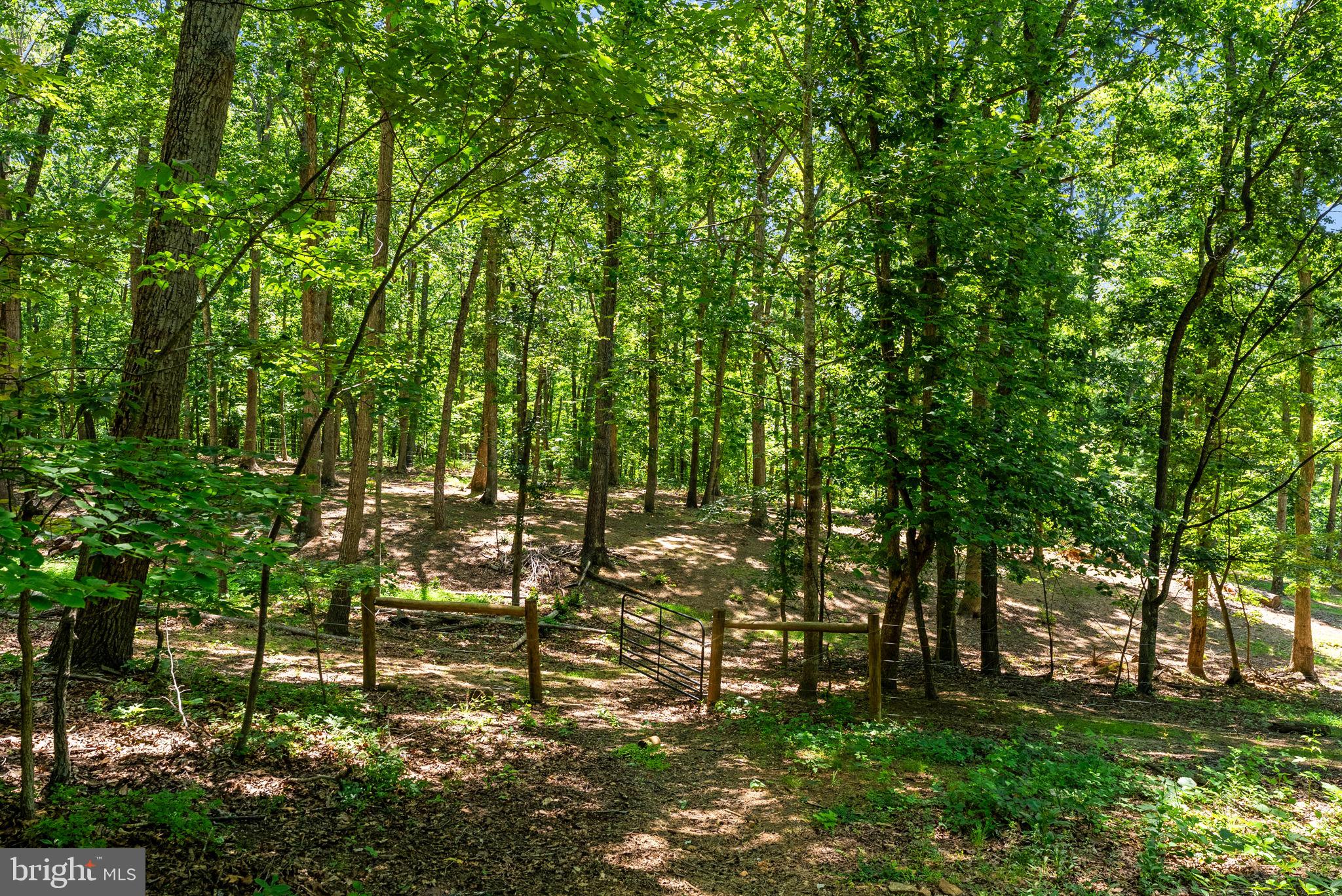 10275 Mountain Run Lake Road Culpeper, VA 22701 - Photo 82 of 89