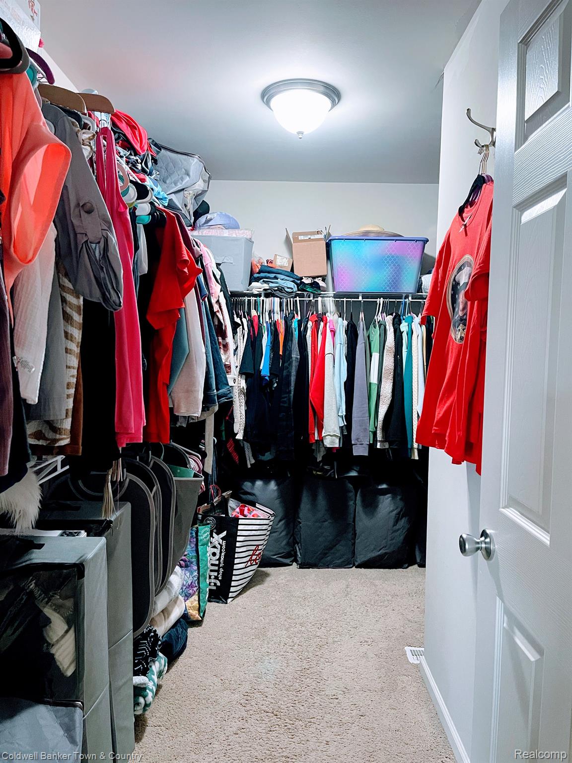 16101 River Ridge Trail Linden, MI 48451 - Photo 17 of 29 primary walk in closet (attic access)