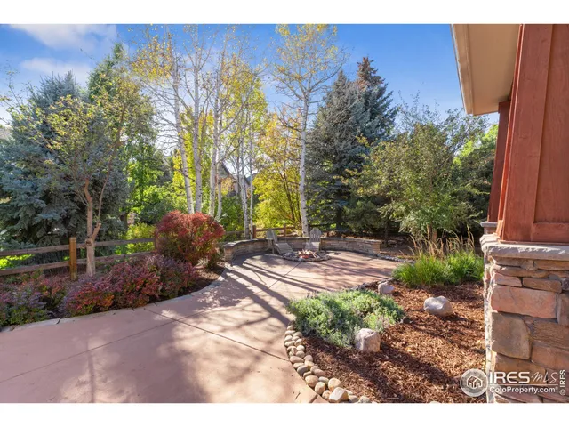 a view of a yard with plants and a bench