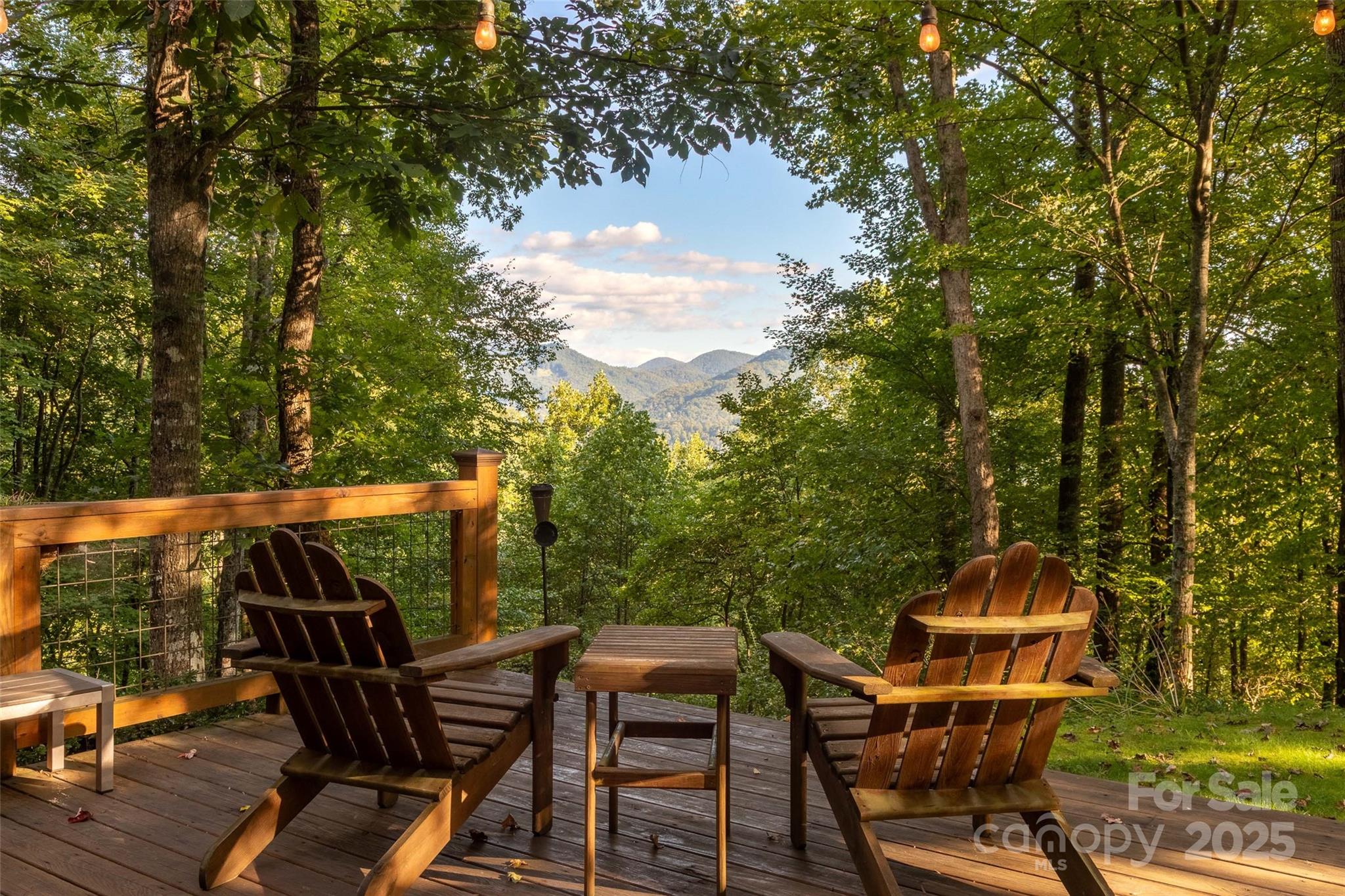 522 Sawmill Hollow Sylva, NC 28779 - Photo 20 of 48