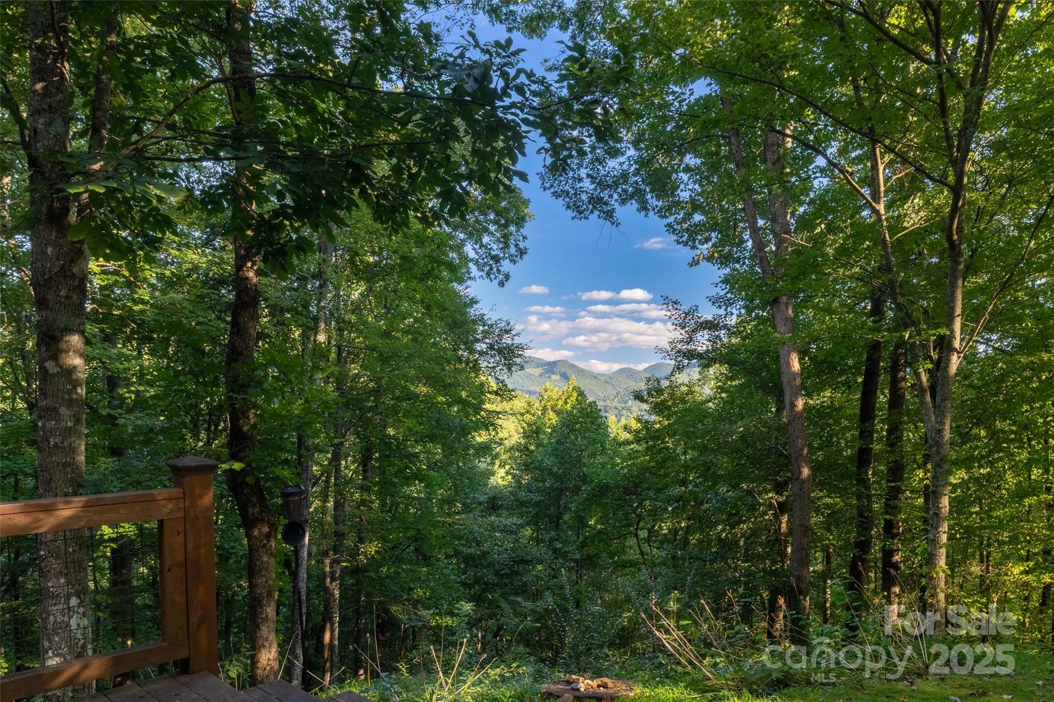 522 Sawmill Hollow Sylva, NC 28779 - Photo 22 of 48